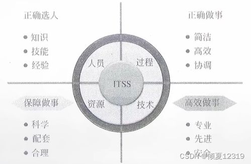 信息系統集成及服務管理 系統集成項目管理工程師的視角