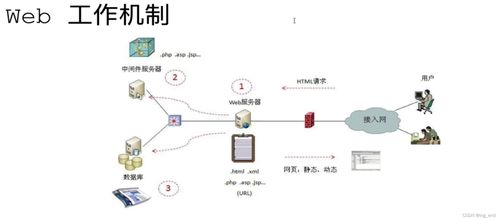 網絡安全學習路徑 從滲透測試到軟件開發(fā)的全方位指南